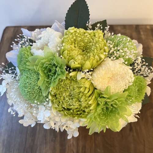 プリザーブドフラワー仏花アレンジ輪菊グリーン プリザーブドフラワー