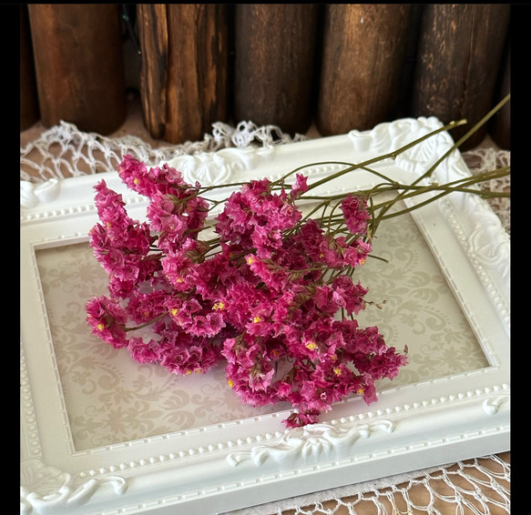 綺麗色❣️喝采(かっさい)ハイブリッドチース小分け❣️ハンドメイド花材ドライフラワー 1枚目の画像
