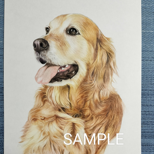 ペットの似顔絵 オーダーメイド 色鉛筆手描き [ B5 サイズ ] イラスト