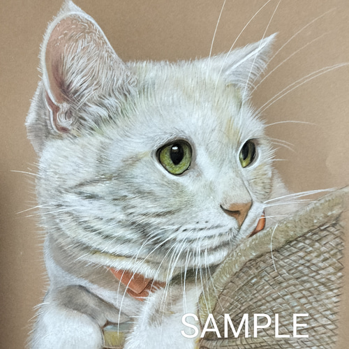 ペットの似顔絵 オーダーメイド 色鉛筆手描き [ B5 サイズ ] イラスト