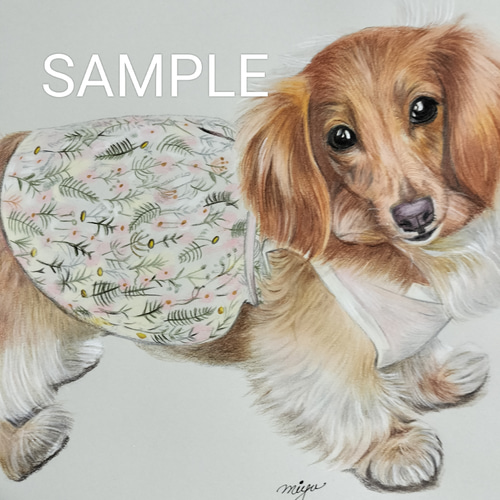 ペットの似顔絵 オーダーメイド 色鉛筆手描き [ B5 サイズ ] イラスト