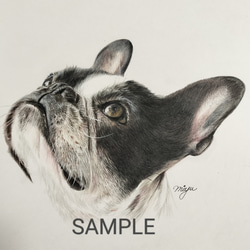 ペットの似顔絵　オーダーメイド　色鉛筆手描き　[ B5 サイズ ] 8枚目の画像
