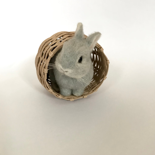 羊毛フェルト うたっち オレンジ ネザーランドドワーフ 羊毛
