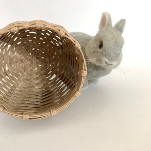 うさぎ 羊毛フェルト ネザーランドドワーフ ミニうさぎ 羊毛