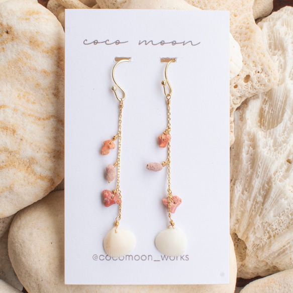 貝がら3点 サンゴらしきもの1点