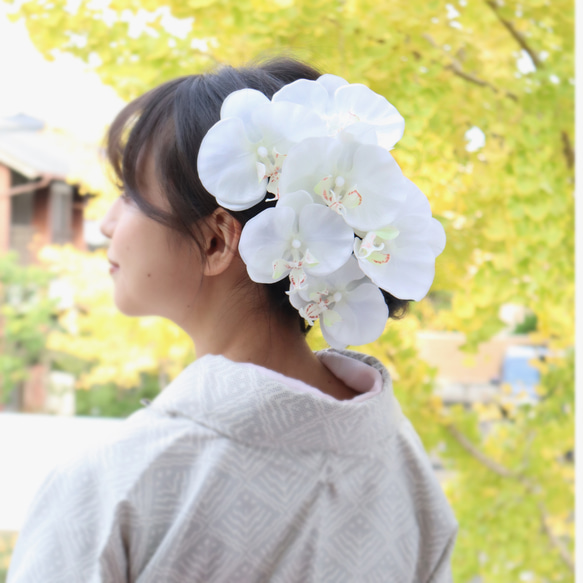 高品質◇胡蝶蘭 コチョウラン 造花髪飾り 結婚式や成人式に 卒業式、前