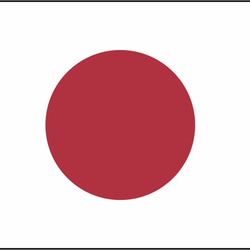 日本　国旗　ドライ　Tシャツ　応援　グッズ　スポーツ　格闘技　JAPAN　日本国旗　 2枚目の画像