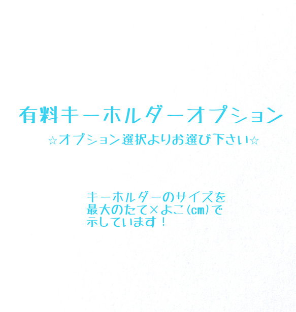 *名入れ·文字入れ* カラフルネームタグミルキーカラー 6枚目の画像