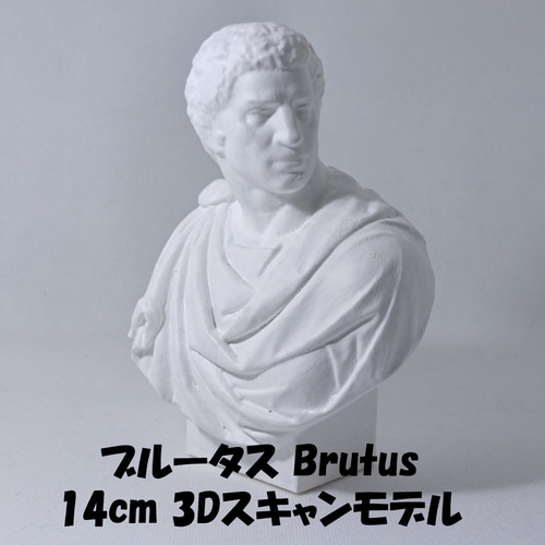 石膏像 ブルータス 胸像 デッサン用 神奈川県大和市 引き取り希望 ブルータス(高さ14cm) 石膏像 デッサン ホワイト インテリア 彫刻 置物