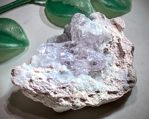 25101047b520389b4b0fead792a6d2