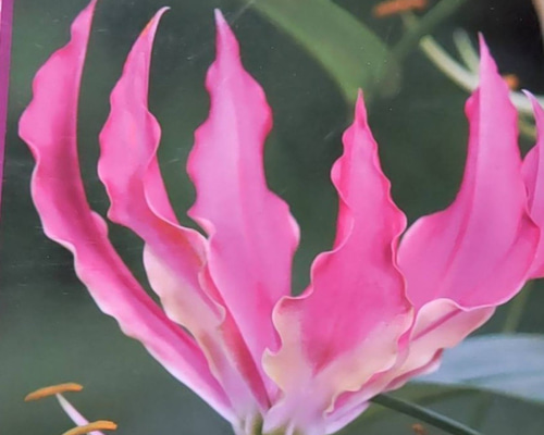 31b994b3a466389b541df3362d319f