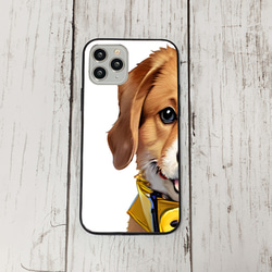 iphoneケース1-1-42 iphone 強化ガラス 犬・いぬ・ワンちゃん 箱13 かわいい アイフォン iface 1枚目の画像
