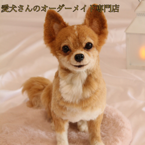 愛犬さんのオーダー》羊毛フェルトオーダー 羊毛フェルト犬 愛犬さんのオーダー》羊毛フェルトオーダー 羊毛フェルト犬