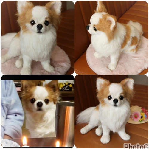 愛犬さんのオーダー》羊毛フェルトオーダー 羊毛フェルト犬 オーダー