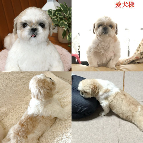 愛犬さんのオーダー》羊毛フェルトオーダー 羊毛フェルト犬 オーダー