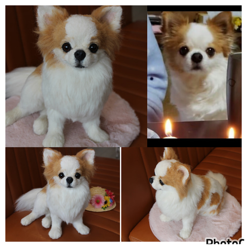 愛犬さんのオーダー》羊毛フェルトオーダー 羊毛フェルト犬 愛犬さんのオーダー》羊毛フェルトオーダー 羊毛フェルト犬