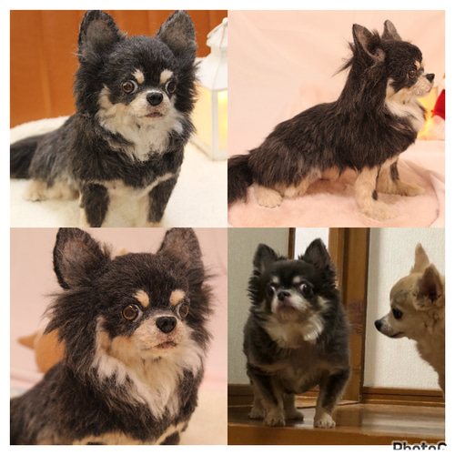 愛犬さんのオーダー》羊毛フェルトオーダー 羊毛フェルト犬 愛犬さんのオーダー》羊毛フェルトオーダー 羊毛フェルト犬
