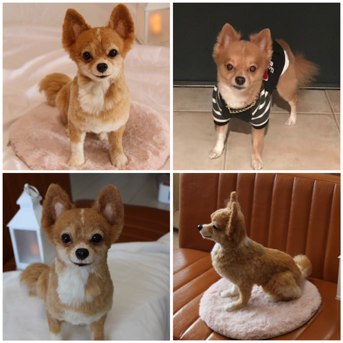 愛犬さんのオーダー》羊毛フェルトオーダー 羊毛フェルト犬 愛犬さんのオーダー》羊毛フェルトオーダー 羊毛フェルト犬
