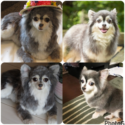 愛犬さんのオーダー》羊毛フェルトオーダー 羊毛フェルト犬 愛犬さんのオーダー》羊毛フェルトオーダー 羊毛フェルト犬