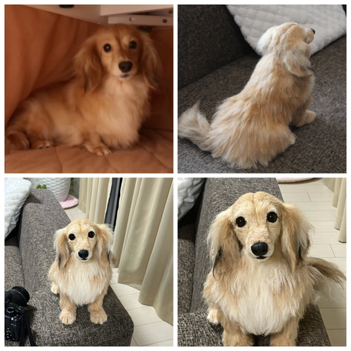 愛犬さんのオーダー》羊毛フェルトオーダー 羊毛フェルト犬 愛犬さんのオーダー》羊毛フェルトオーダー 羊毛フェルト犬