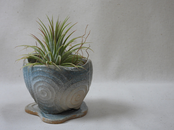 渦巻海色陶製植木鉢(2)皿付き 6枚目の画像