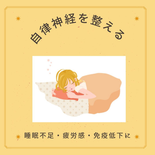 無農薬玄米カイロ【 首、肩用】冷えに温活♡あったか～リンパも