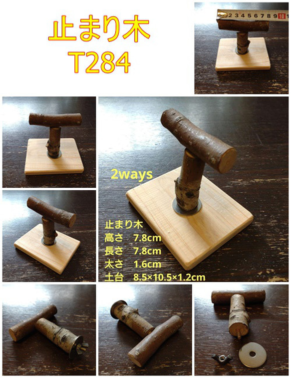 止まり木（天然木：TOY-24-003)　T284 1枚目の画像