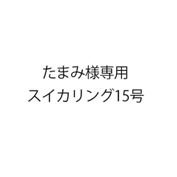 ［たまみ様専用］｢SV99.9｣スイカリング(15号) 1枚目の画像