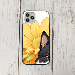 iphoneケース3-5-50 iphone 強化ガラス 犬・いぬ・ワンちゃん 箱13 かわいい アイフォン iface 1枚目の画像
