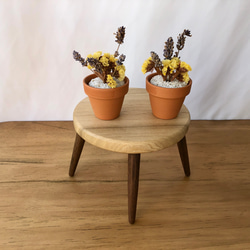 モンキーポッド スツール 椅子 木製 ダイニング 無垢材 1本彫り 腰掛