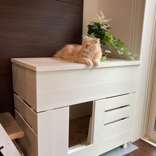 デオトイレ快適ワイド専用トイレカバー ハウス・小屋 仔猫公団 デオトイレ快適ワイド専用トイレカバー ハウス・小屋 仔猫公団