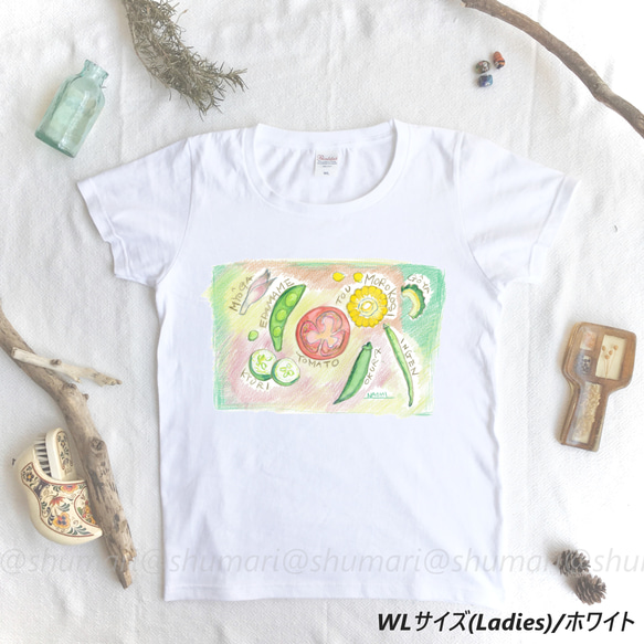 水彩画 Ｔシャツ「夏野菜」 1枚目の画像