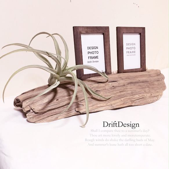 〜Drift Design〜　味わい流木とキセロ造花のデザインフォトスタンド　写真立て　フォトフレーム　インテリア 1枚目の画像