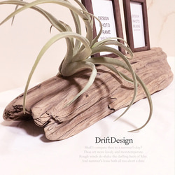 〜Drift Design〜　味わい流木とキセロ造花のデザインフォトスタンド　写真立て　フォトフレーム　インテリア 3枚目の画像