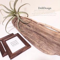 〜Drift Design〜　味わい流木とキセロ造花のデザインフォトスタンド　写真立て　フォトフレーム　インテリア 2枚目の画像
