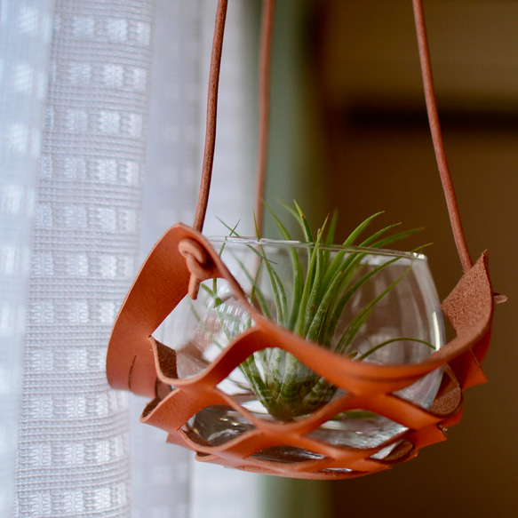 真皮植物衣架 讓我們懸掛空氣植物等植物來裝飾房間 第4張的照片