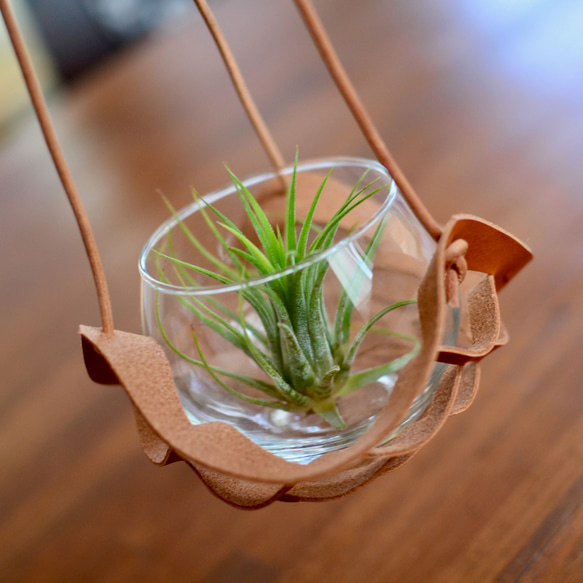 本革レザー レザープランツハンガーホルダー エアープランツなど植物を