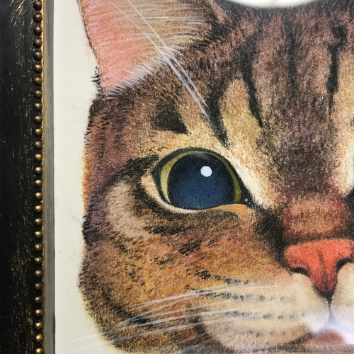 角フレーム付き猫イラスト原画 イラスト シミズ ユタカ 通販 16225223