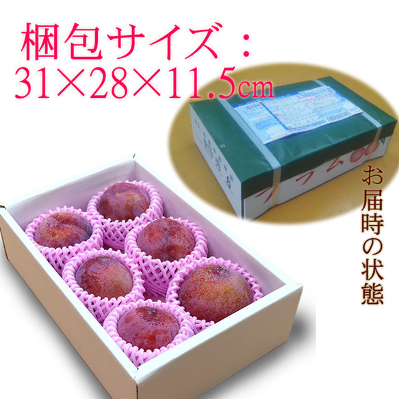 プラム 貴陽 特大玉(7L〜8L)×6玉 約1.2kg すもも 李 山形県 送料無料 高糖度 スモモ 果物 6枚目の画像