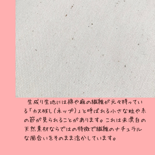 爽やかりんごのスリムペンケース（筆箱）グリーン×オフホワイト