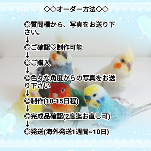 羊毛フェルト インコ オーダー制作 羊毛フェルト リリアン 通販