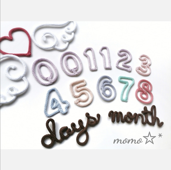 オーダー確認用ページ☆　マンスリーフォト　ウールレター　momo☆* マンスリーフォトset ② ウールレター | Anemone629