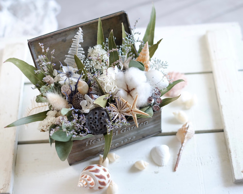 ドライフラワー フラワードリッパーDEEP27 -Taizo Gold Edition -〈1杯用〉 – CAFEC