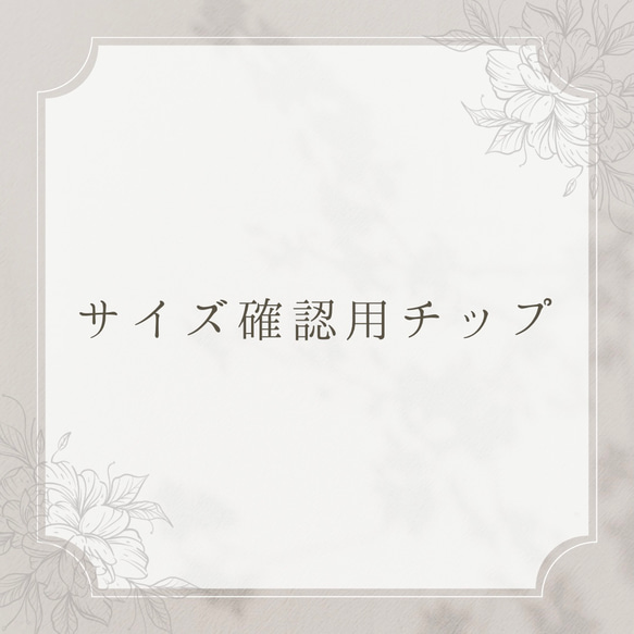 ≪送料無料≫サイズ確認用チップ 1枚目の画像