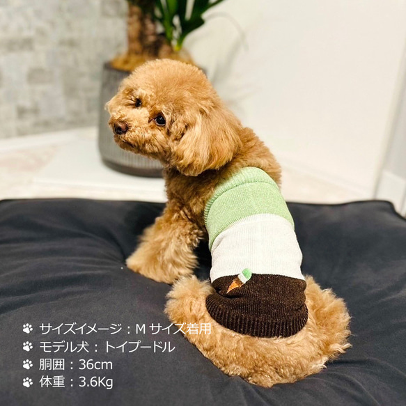 シルクメランジ ワンちゃん(超/小型犬)用 ロングタイプ 腹巻き ★アイスクリーム柄 刺繍つき S/Mサイズ 3枚目の画像