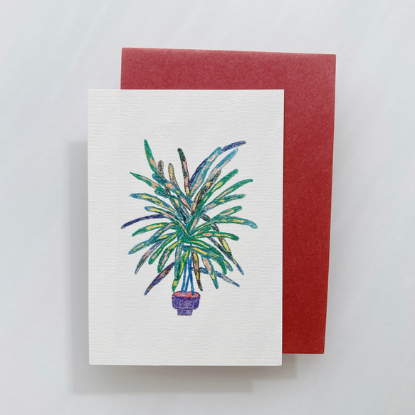 Plant 001 ポストカード ユニバーサルカード サンキューカード 封筒付き 3枚目の画像