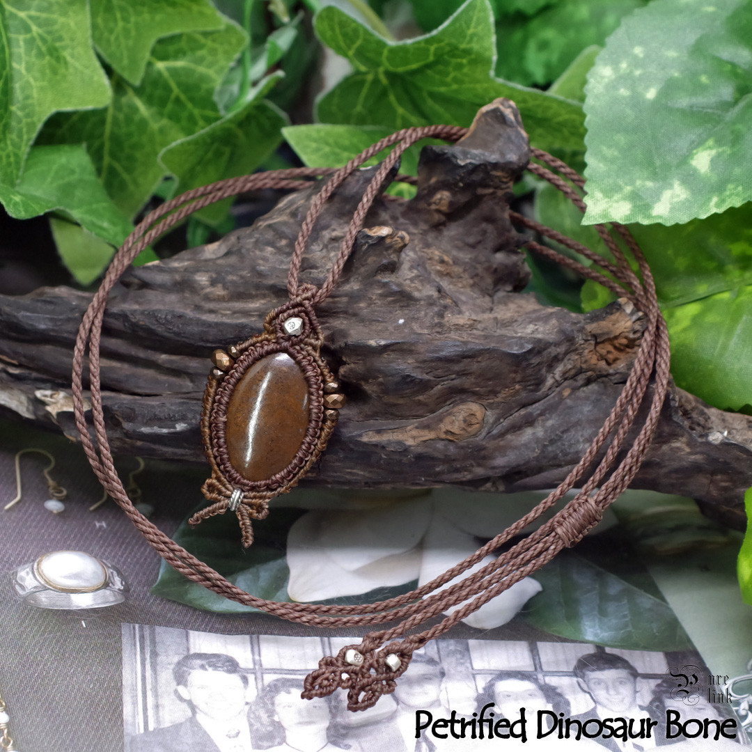 レア★龍骨・恐竜化石『ペトリファイドダイナソーボーン』カレンシルバーマクラメ編みネックレス3