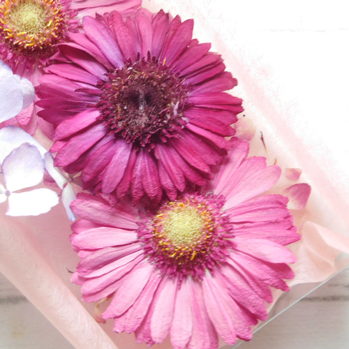 ピンク系ガーベラ ドライフラワー 素材 その他素材 ababko 通販