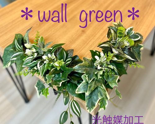 送料無料】☆光触媒加工 ウォールグリーン［№53］☆ポトスとアイビーの