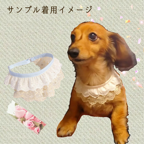 犬服フリフリレーススカーフ付きデザインワンピース見本 犬服フリフリレーススカーフ付きデザインワンピース見本